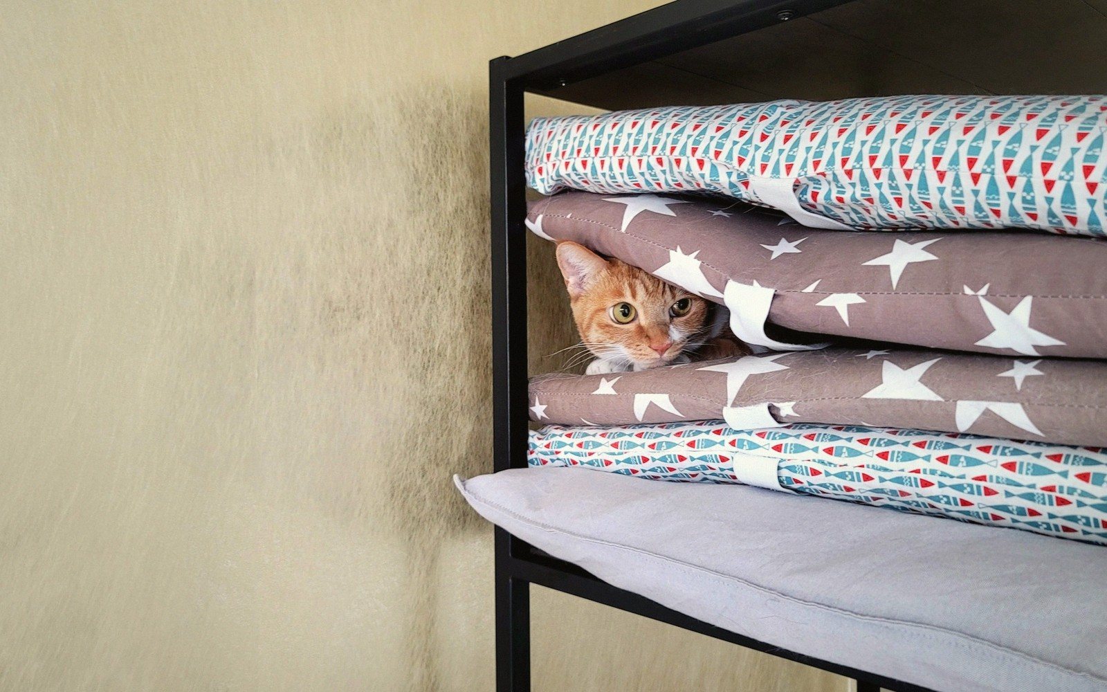 Building Up: Shelves, Perches & Window Seats