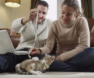 The couple playing with their kitten pet