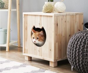 Cute cats house