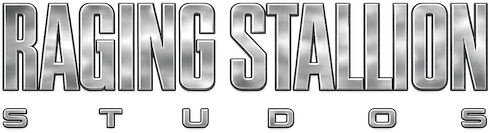 Raging Stallion Series
